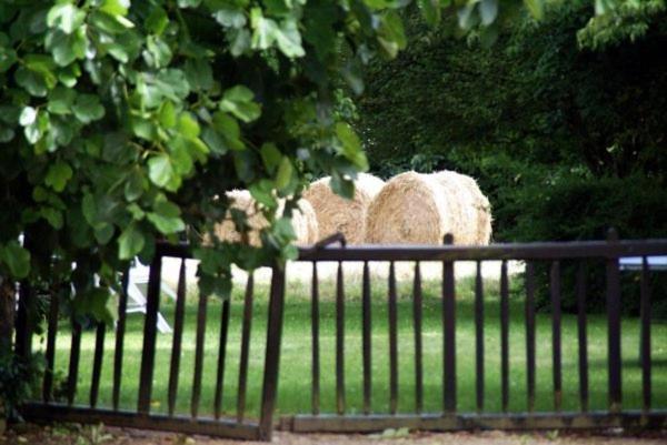 Les Pieds Dans L'Herbe Rosporden Exterior photo